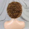 13x4 Dentelle Boucle Afro 5 Couleur Bob Perruque Cheveux Tressรฉs - SHINE HAIR