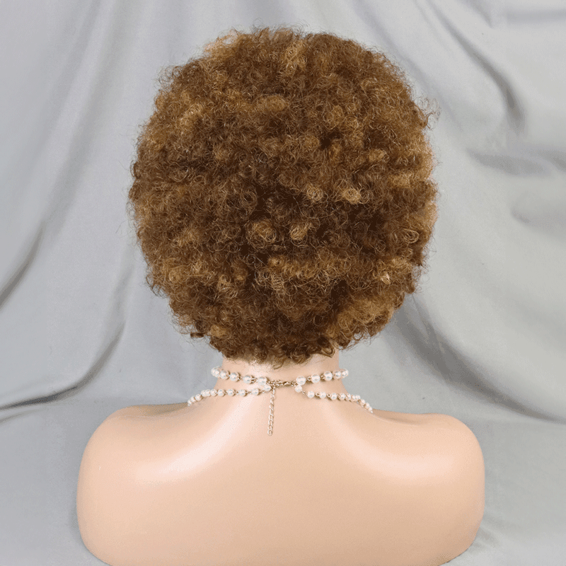 13x4 Dentelle Boucle Afro 5 Couleur Bob Perruque Cheveux Tressรฉs - SHINE HAIR