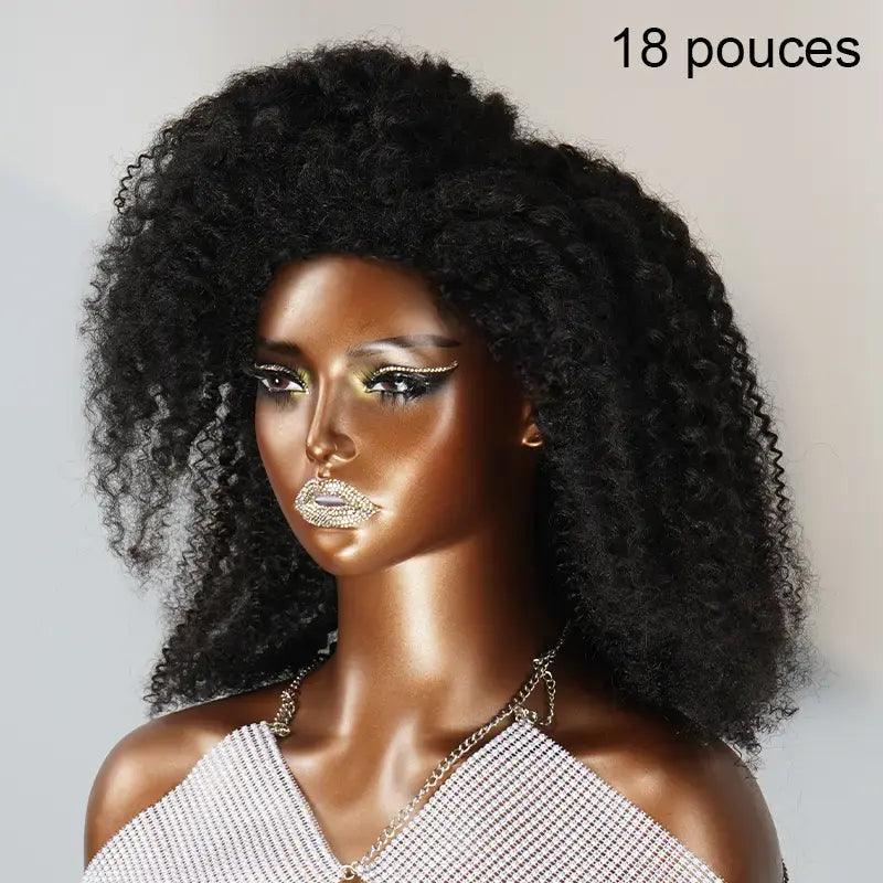 13x4 Glueless Kinky Bords Perruque Sans Colle Kinky Curly Frontale Wig 2 Styles - SHINE HAIR