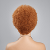 13×4 Glueless 5 Couleurs Styles Afro Bouclé Bob Perruque Sans Colle