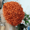 Crazy Deals🔥 3 Couleur Rebondissement Perruques Coupe Pixie 13×1 Dentelle Bouclé