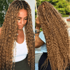 Extensions De Cheveux Humains Bouclés Profonds Couleur Blond Miel 27# Pour Tressage Bohème