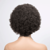 Dentelle Pleine Afro Curly Super Rebondissement Bob Perruque Humain Cheveux