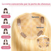 27/613 Complément capillaire Dentelle 5x5 Top Piece Balayage  Coupe Dégradée Fluide (Non Perruque)