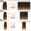 Mèches Crochet Hair Ombré Kinky Curly/Birmane frisée Légèreté Plume Pre-Separated & Soyeux