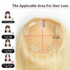 Hair topper 613 Blond Dentelle 5x5 6x6 Postiche Top Piece Marron 5 Clips Intégrés (Ceci n'est pas une perruque)
