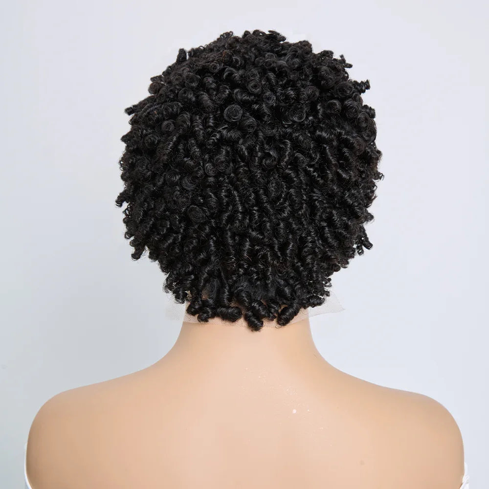 Chic Perruque 4/30 Afro Kinky Curly Noir 13x4 Lace Cheveux Courts Bouclés Portez Et Partez